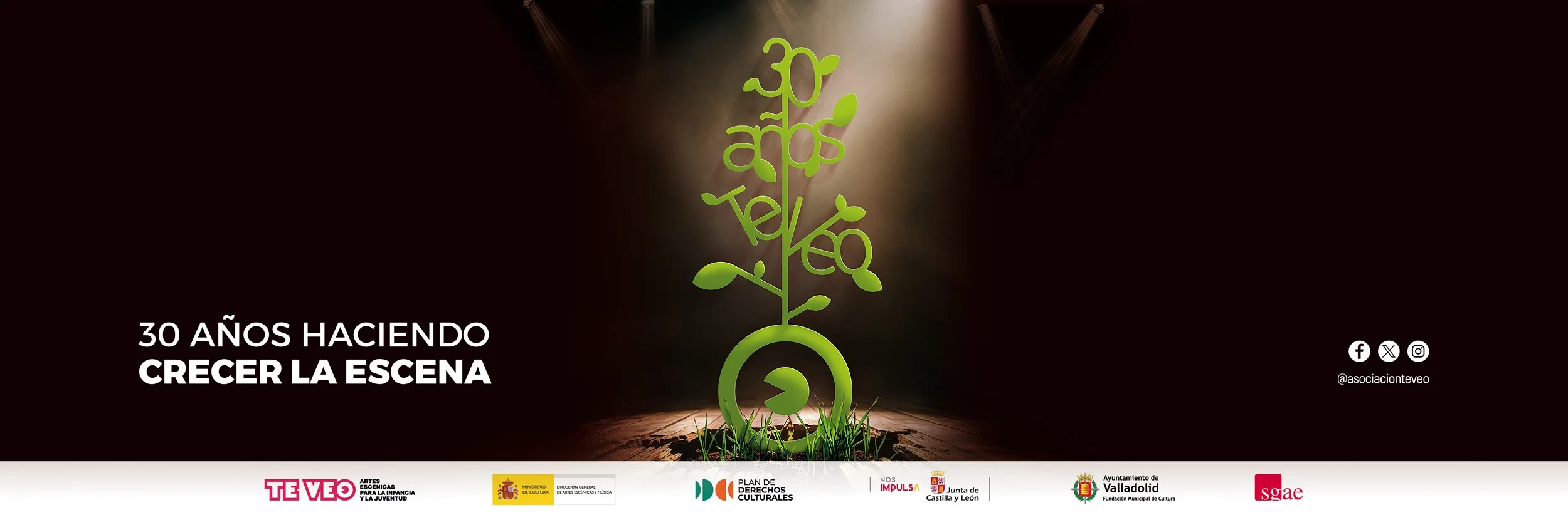 30º aniversario TE VEO